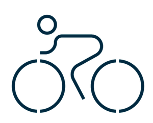 Champion bikes